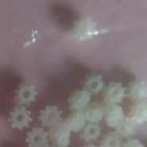 NEW Lens Aperture Gear For Nikon J1 10-30mm 10-30 mm Repair Part