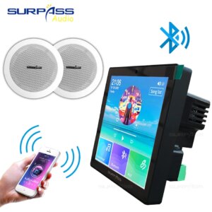 Digital Stereo Player Smart Home Background Music System Bluetooth Wall Amplifier Combo With Ceiling Speaker