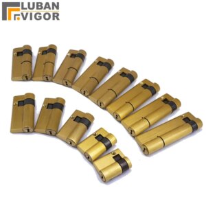 Fingerprint smart Lock cylinder ,Copper material,C-Class Blade lock,with 3keys,High security One-sided Half lock cylinder